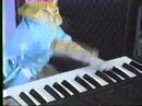 Charlie Schmidt’s “Keyboard Cat”! – ORIGINAL!