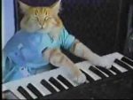 Charlie Schmidt’s “Keyboard Cat”! – ORIGINAL!