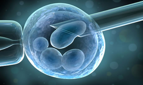 In-vitro fertilisation