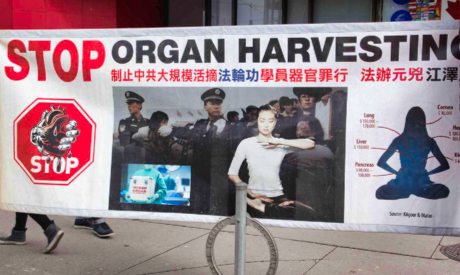 organ harvesting