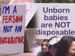 abortion law