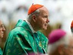 Austrian cardinal criticised Vatican