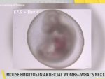 embryo experiments warning