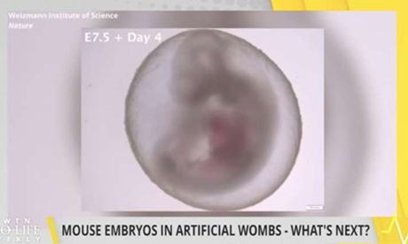 embryo experiments warning