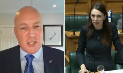 https://www.newshub.co.nz/dam/form-uploaded-images-ordered/2022/03/08/Christopher-Luxon-Jacinda-Ardern-Parliament-1120.jpg