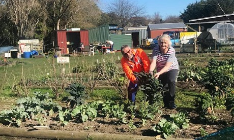 Community Garden