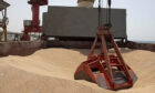 Ukraine grain shipments