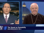 synod confidentiality