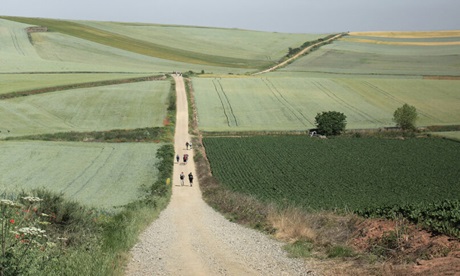 Camino