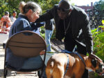 Haitian-Animal-Blessing