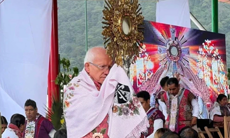 Mexican Cardinal